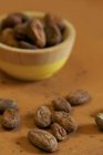 Granos de cacao crudos - foto de stock