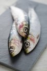 Fresh raw sardines — Stock Photo