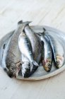 Fresh trout and sardines in platter — Stock Photo