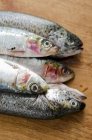Truchas y sardinas frescas - foto de stock