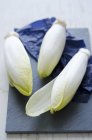 Chicory heads on blue paper — Stock Photo