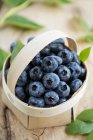 Punnet of fresh blueberries — Stock Photo
