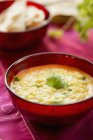 Closeup view of Daal Indian dish with coriander — Stock Photo