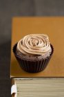 Cupcake de chocolate com rosa — Fotografia de Stock