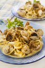 Fettuccine pasta with baby clams — Stock Photo