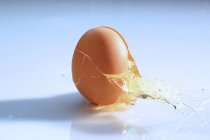 Fresh cracked egg — Stock Photo