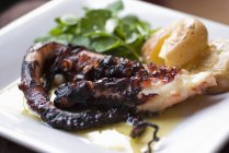 Flame-grilled octopus with potatoes on white plate — Stock Photo