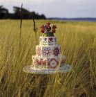 Многоуровневый свадебный торт в поле — стоковое фото