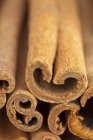 Several cinnamon sticks — Stock Photo