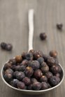 Spoon full of juniper berries — Stock Photo