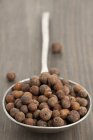 Closeup view of a spoon full of allspice berries — Stock Photo