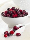 Cranberries in white bowl — Stock Photo