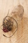 Barbabietola fresca matura — Foto stock