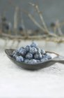 Sloe berries on spoon — Stock Photo