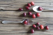 Fresh Cranberries and spoons — Stock Photo