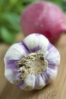 Bulb of fresh garlic and red radish — Stock Photo
