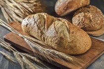 Verschiedene Brotlaibe mit Weizenstielen — Stockfoto