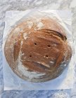 Pan recién horneado - foto de stock