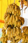 Bananas penduradas no mercado — Fotografia de Stock