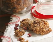 Farinha de aveia caseira Cranberry Cookies — Fotografia de Stock