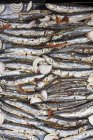 Marinated sardines on baking tray — Stock Photo