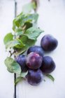 Fresh plums with leaves — Stock Photo