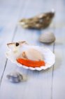 Closeup view of raw opened scallop with small shellfish on wooden surface — Stock Photo