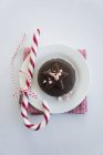 Chocolate torte with a candy cane — Stock Photo
