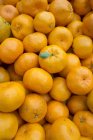 Свіжі стиглі мандарини — стокове фото