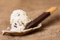 Homemade cookie ice cream — Stock Photo