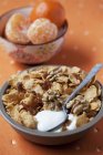 Cornflakes with walnuts and raisins — Stock Photo