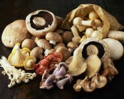 Натюрморт с разнообразными кучами грибов — стоковое фото