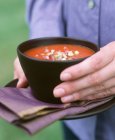 Mãos segurando tigela de sopa de tomate — Fotografia de Stock