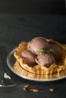 Шоколадное мороженое в вафле — стоковое фото