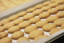 Biscuits fraîchement cuits au four — Photo de stock