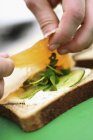 Sandwich with smoked salmon — Stock Photo