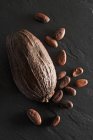 Baccello di cacao e fagioli di cacao — Foto stock