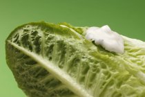 Romaine lettuce and yogurt dressing — Stock Photo