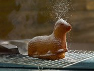 Cake on cooling rack with powdered sugar — Stock Photo