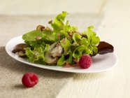 Closeup view of green salad with pan fried mushrooms, raspberries and raspberry dressing — Stock Photo