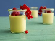 Budino alla vaniglia in tazze di vetro — Foto stock