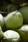 Frisch gepflückte grüne Kokosnüsse — Stockfoto
