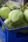 Frische grüne Kokosnüsse — Stockfoto