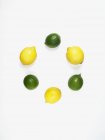 Kreis aus Limetten und Zitronen — Stockfoto