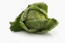 Fresh savoy cabbage — Stock Photo