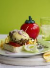 Hambúrguer de queijo com cebola e tomate — Fotografia de Stock