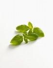 Folhas de manjericão verde fresco — Fotografia de Stock