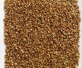 Carré de graines de coriandre — Photo de stock