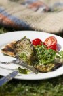 Grilled aubergine slices on pitta bread with rocket and tomatoes on white plate  with fork — Stock Photo