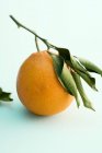 Naranja fresco con hojas - foto de stock
